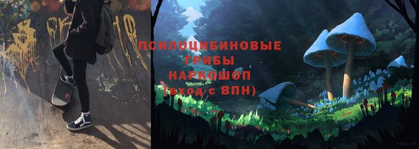 шишки Нязепетровск