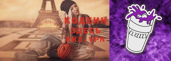 дурь Няндома