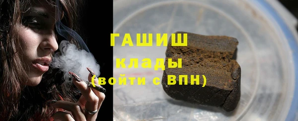дурь Няндома