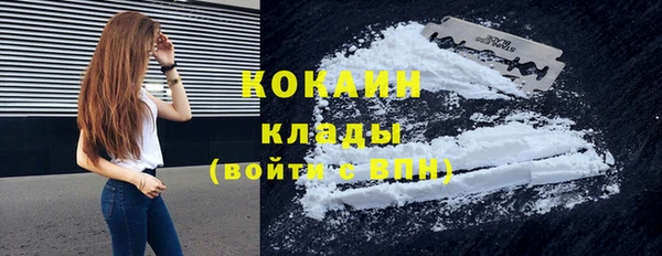 шишки Нязепетровск