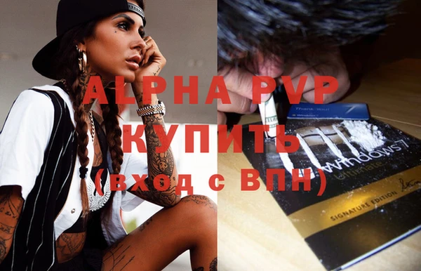 дурь Няндома