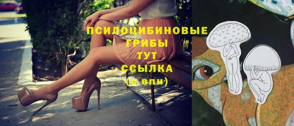 шишки Нязепетровск