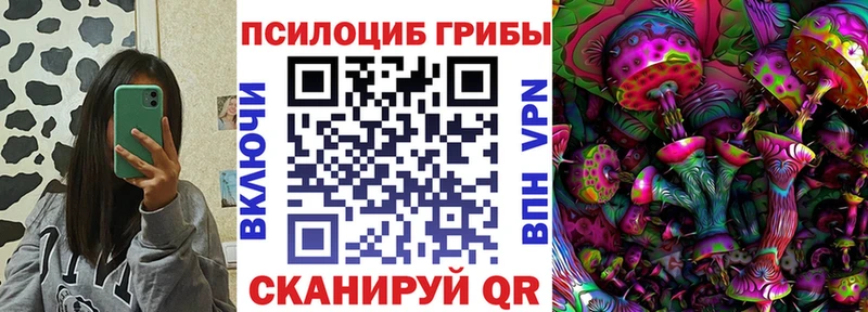 Псилоцибиновые грибы Psilocybe  KRAKEN tor  Сычёвка 